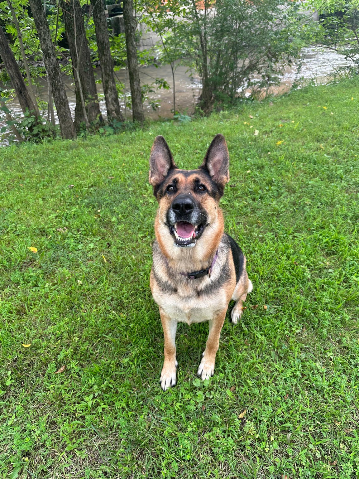 Belle