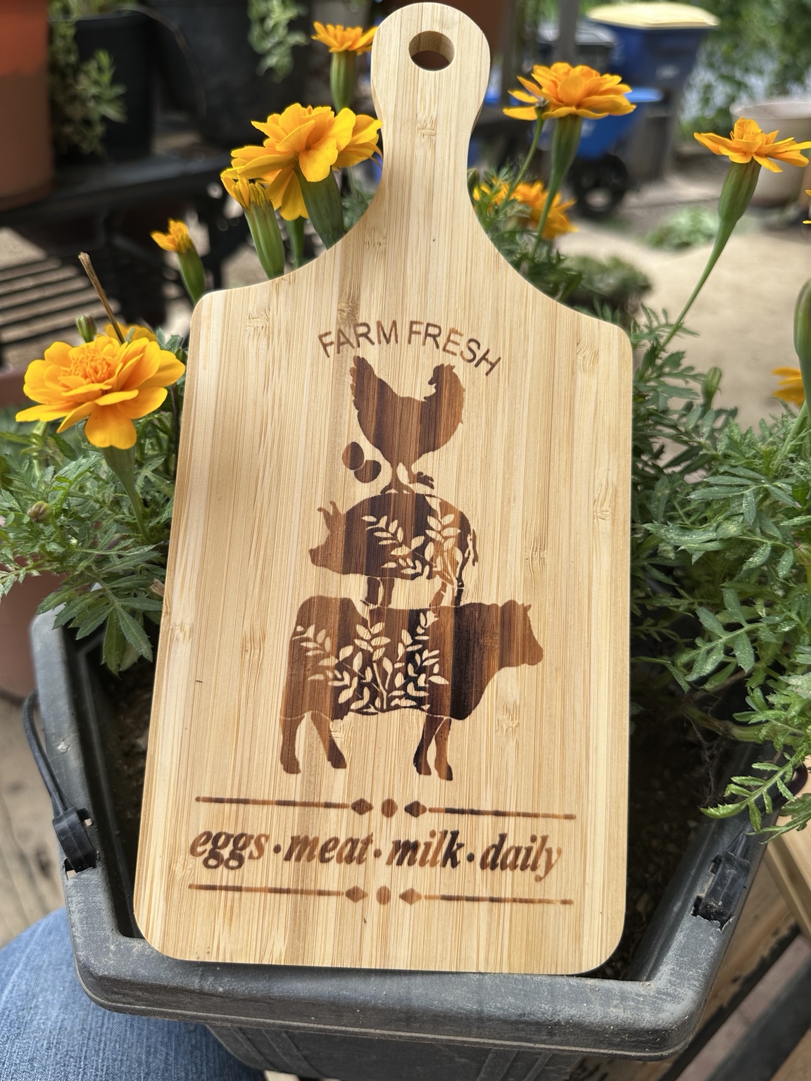 Cutting board design