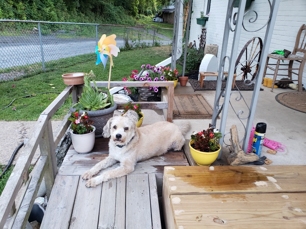 Joe on the porch